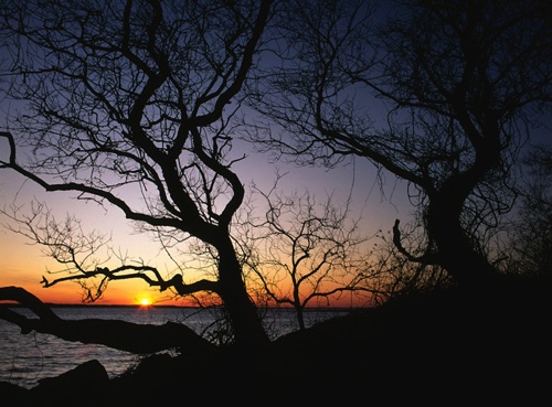 Sunset, Sandy Hook, Monmouth County, NJ (MF).jpg